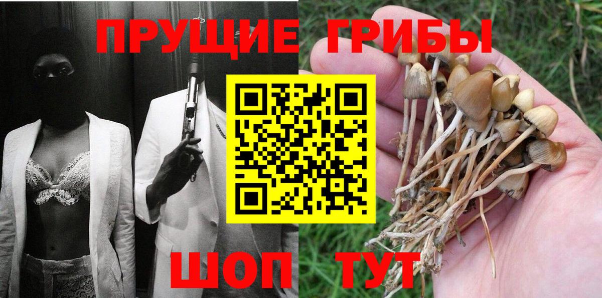 Галлюциногенные грибы Psilocybine cubensis Алапаевск